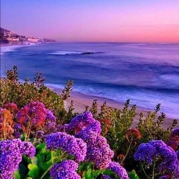 Meet your Posher, T! - Picture 2 of 3